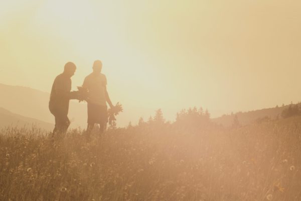 field of wheat in gauzy sunlight with two figures next to each other working the field