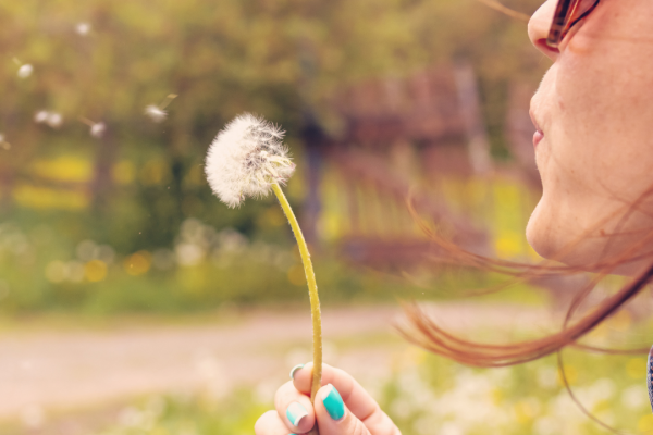 A person wearing sunglasses blows on a dandelion, scattering its seeds outdoors on a sunny day.