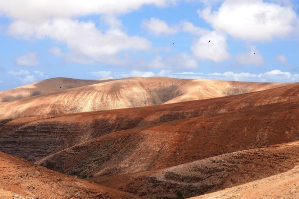 Rolling, reddish-brown desert hills under a partly cloudy sky, with a few birds flying above.