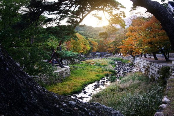 green grass, trees and a stream