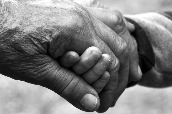 An elderly hand gently holds a childs hand, symbolizing care and connection across generations.