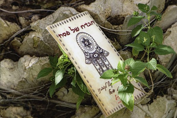 Book with a Hamsa design on a rocky surface, surrounded by green foliage.