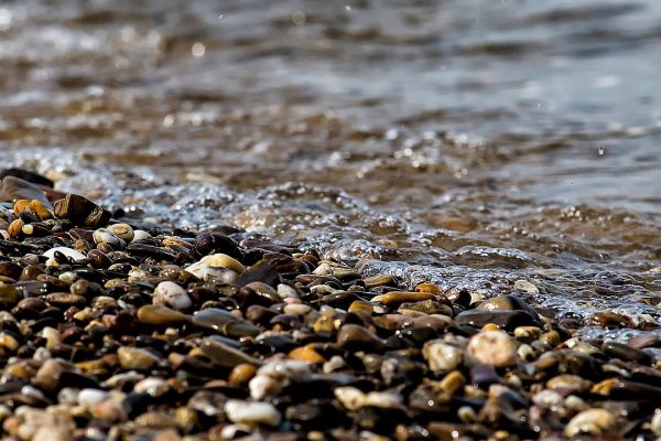 small pebbles at the edge of a creek