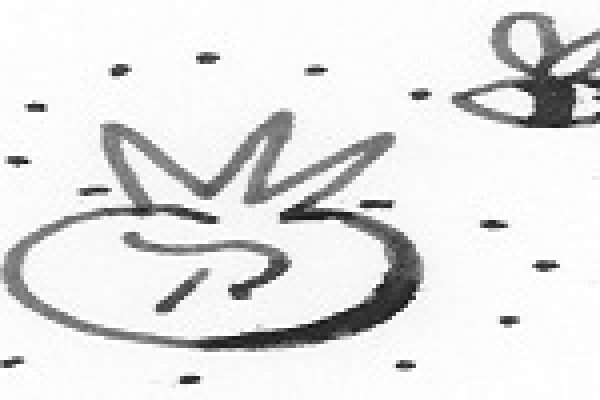 Black ink drawing of a tomato and a smaller tomato plant on a white background with dotted details.