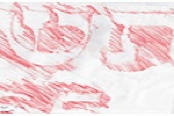 Abstract red scribbles on a white background, resembling letters.