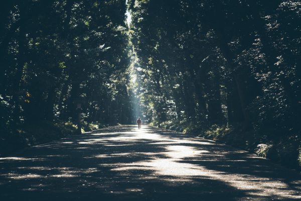 A person walks alone on a sun-dappled road surrounded by tall, dense trees.