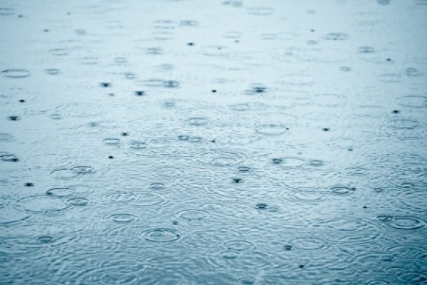 Raindrops creating ripples on a body of water, creating a calming, textured surface.