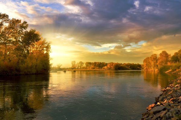 autumn trees set on a lake. The sky is full of sunlight and clouds