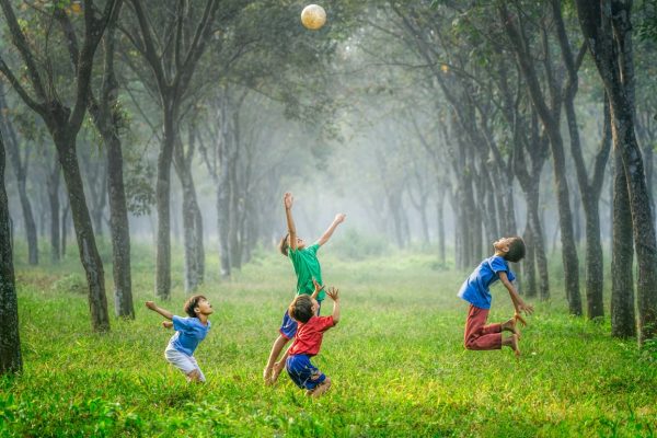 Children playing with a ball in a lush, tree-lined field.