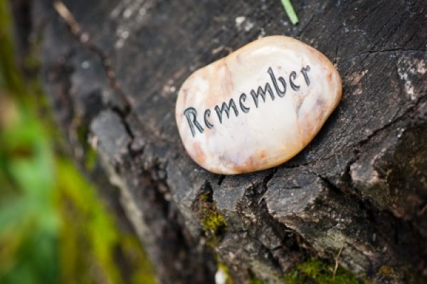 A stone with the word Remember rests on a mossy tree stump.