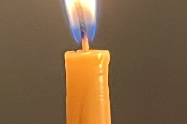 Photo by Ellen Blum Barish