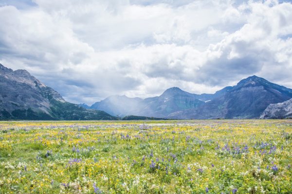 clouds mountains and green field with flowers