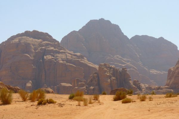 a wadi stands in teh desert against small hills