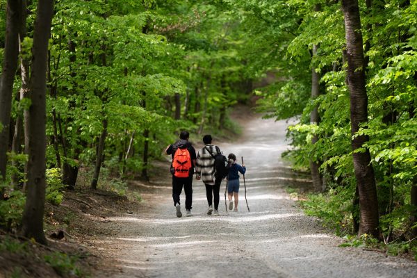 Three people with backpacks walk on a gravel path through a lush green forest.