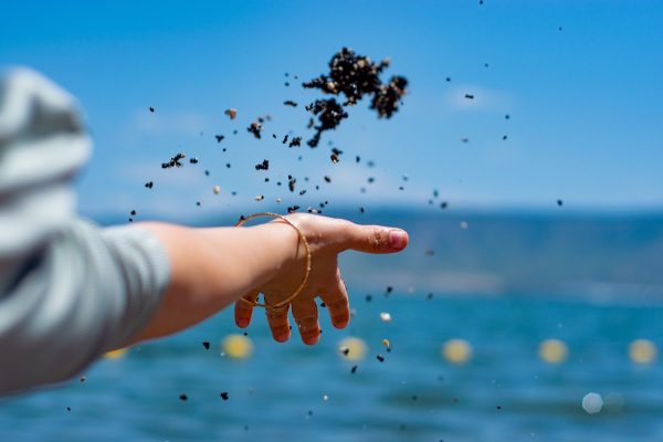 a hand throws dirt into the water