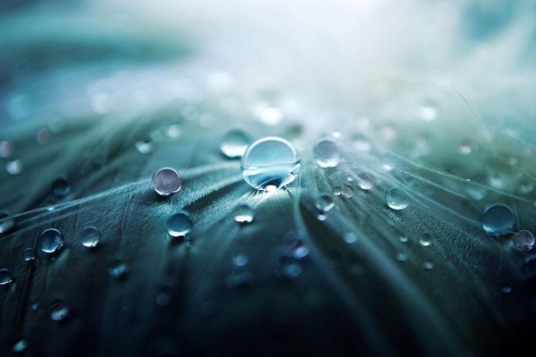 Close-up of dewdrops on a soft, feather-like surface with a blurred, gradient background in blue and green hues.