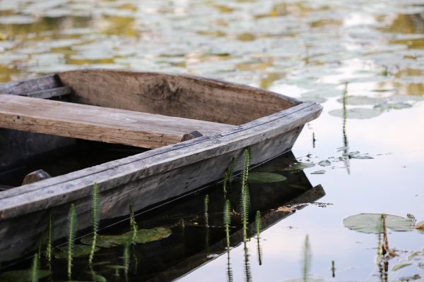 Wooden rowboat on a calm lake with green lily pads and gentle reflections in the water.